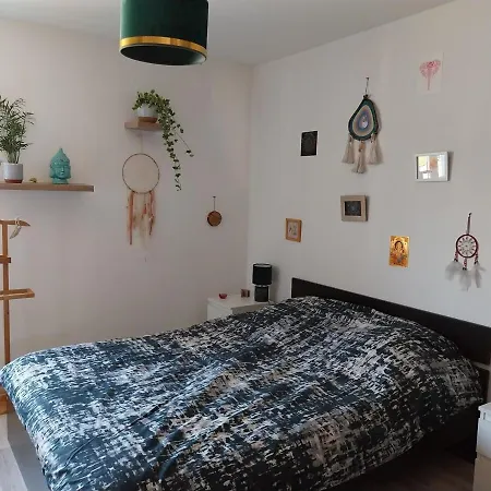 Appartement Lumineux Avec Terrasse Proche Colmar *