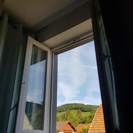 Lumineux Avec Terrasse Proche Colmar Wihr-au-Val