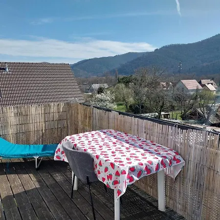 Lumineux Avec Terrasse Proche Colmar * Wihr-au-Val